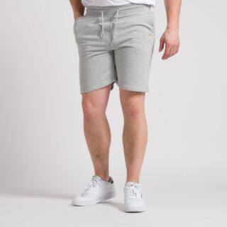 The Shorts v2 - grey marl